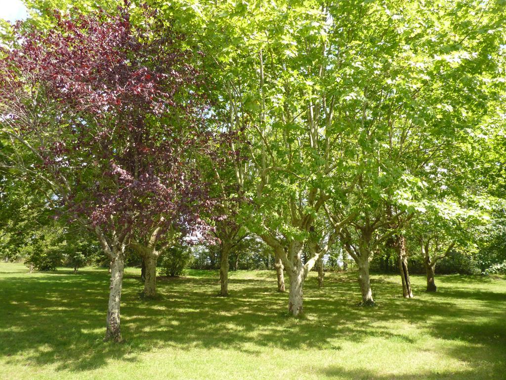 Camping Parc Du Chateau D'Allot Hotel Boe Bagian luar foto